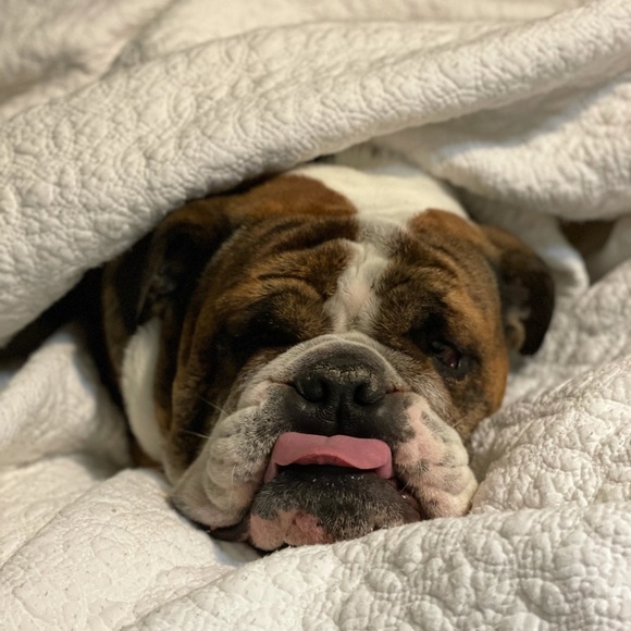 🧿💵♏️💕 - Picture 8 of 10